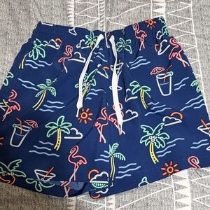 Chubbies Swim Shorts